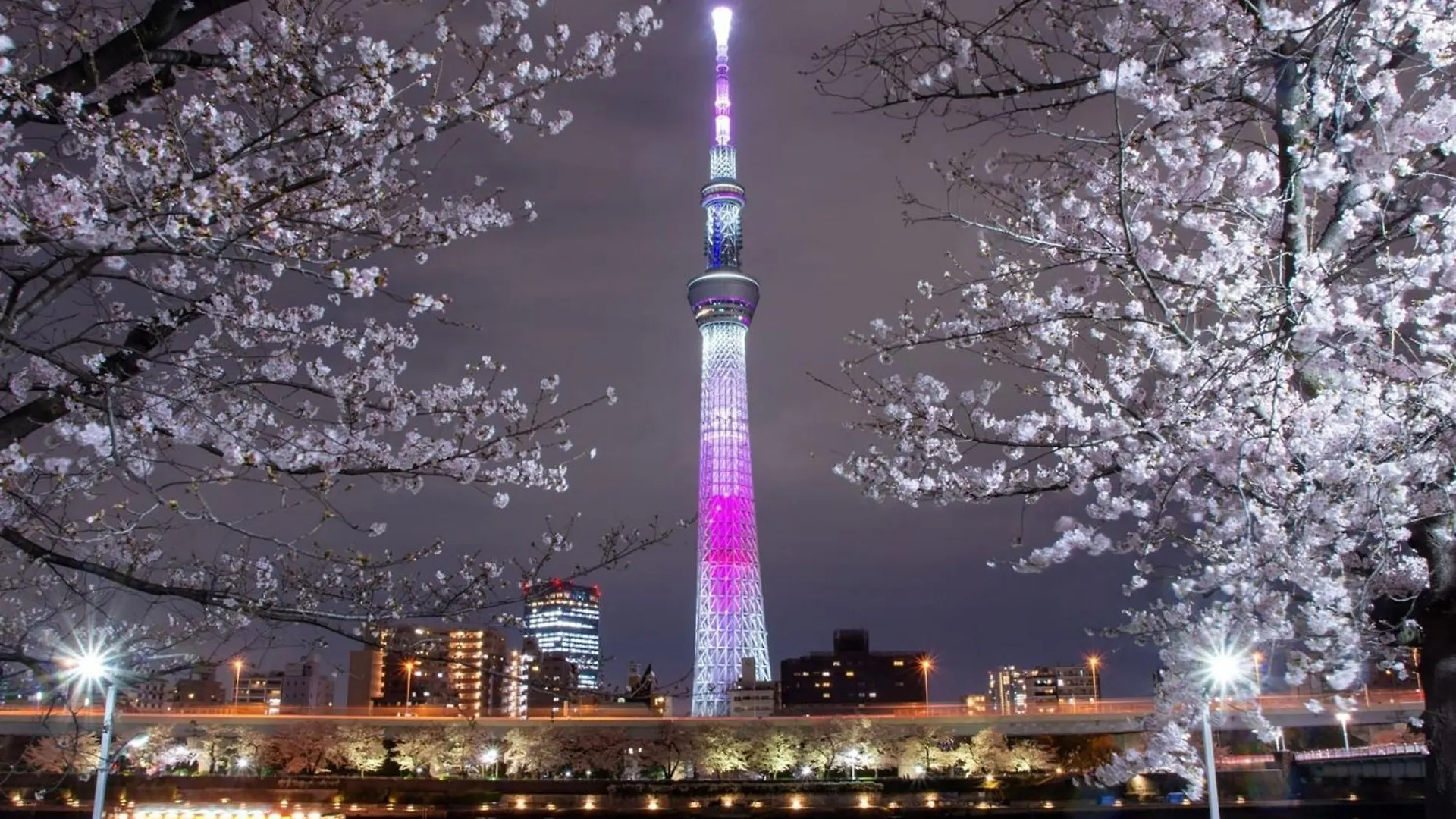 Rakuten STAY 東京 浅草 ダブルベッドルーム 東京都